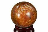 Colorful, Polished Petrified Palm Root Sphere - Indonesia #150131-1
